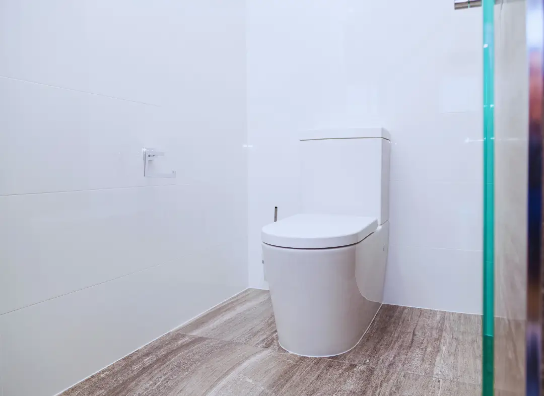 Remplacement de wc Hombourg-Haut